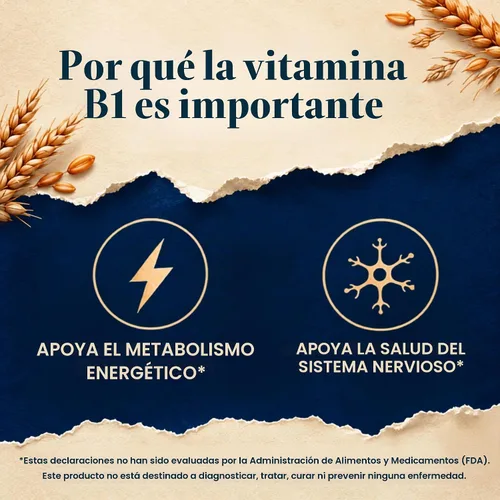 Vista 4 de Vitamatic Vitamina B1 500 mg (mononitrato de tiamina), 120 cápsulas Alta potencia B1, apoya la salud del sistema nervioso y el metabolismo
