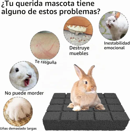 Vista 4 de Hamiledyi 2 almohadillas rascadoras de conejo, almohadillas para moler lava, almohadillas para pies de animales pequeños, juguetes para masticar