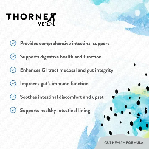 Vista 4 de ThorneVET Fórmula de salud intestinal: apoyo gastrointestinal para perros, gatos y caballos, 180 cucharadas