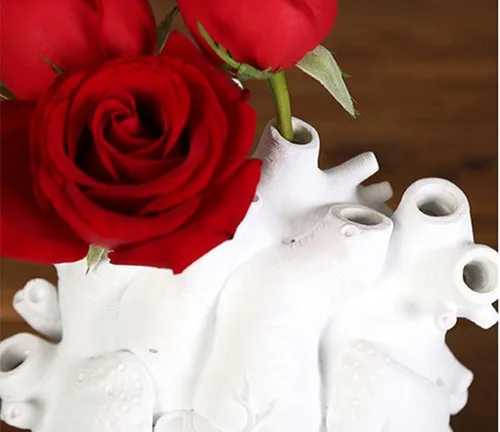 Vista 4 de Jarrón de corazón anatómico creativo de 6 pulgadas, decoración en forma de corazón, maceta de resina moderna y única, estilo nórdico, jarrón