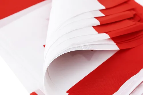 Vista 4 de Bandera de Canadá, bandera canadiense, 100 pies/76 unidades de banderines nacionales del mundo del país, suministros de decoración de fiesta