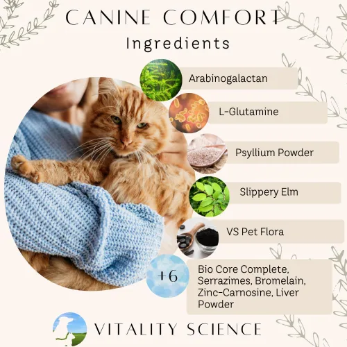 Vista 3 de Vitality Science Comodidad canina para perros Mantiene un tracto intestinal saludable y una flora intestinal adecuada Restaura la angustia