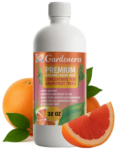 Vista 24 de GARDENERA Superalimento orgánico prémium de algas marinas y algas marinas para plantas AROID - 32 oz - Concentrado de fertilizante líquido de algas