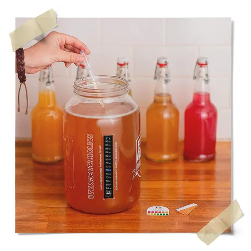 Vista 7 de Fermentaholics Kombucha SCOBY ORGÁNICO con doce onzas de té de iniciación – Cultivo de inicio en vivo – hace un lote de un galón – 1.5 tazas de té