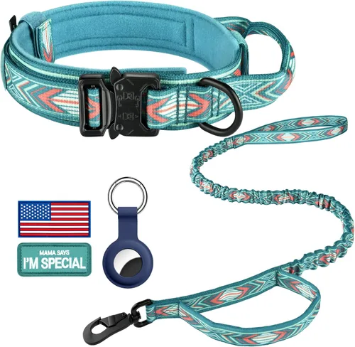 Vista 38 de DAGANXI - Collar táctico para perro, collar ajustable de nailon para adiestramiento con asa de control y hebilla, para perros medianos y grandes