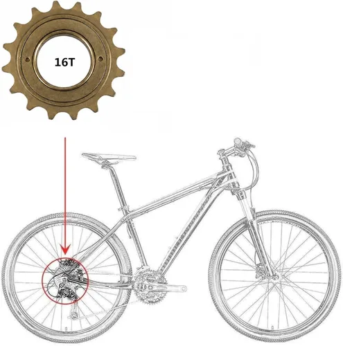 Vista 2 de Rueda libre de bicicleta de una sola velocidad 16T, suministros de ciclismo de bicicleta rueda libre duradera