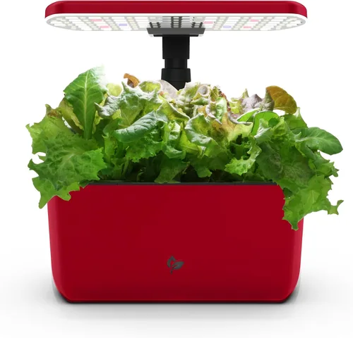 Vista 11 de Sistema hidropónico de jardín interior AeroGarden Harvest con luz de cultivo LED y kit de hierbas, con capacidad para hasta 6 cápsulas, color blanco