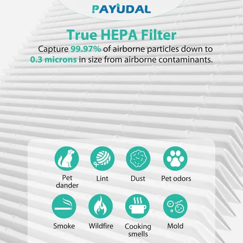 Vista 6 de Paquete de 2 filtros de repuesto G3 A3 para purificador de aire AME=EU G3 Sferf-30 (FXAP2W). Compatible con filtro VEWIOR A3 A3N. Para Tailulu