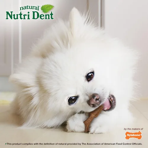 Vista 6 de Nylabone Nutri Dent Dog Dental Chews - Limpieza natural de dientes y ambientador de aliento - Golosinas dentales para perros - Sabor Filet Mignon