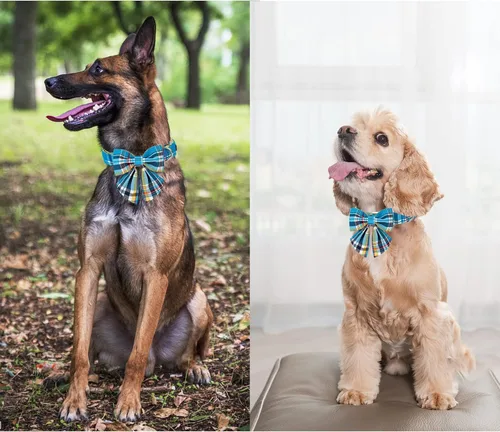 Vista 61 de Unique style paws - Collar para perros con corbatín, collar ajustable para perros y gatos, pequeño, mediano y grande