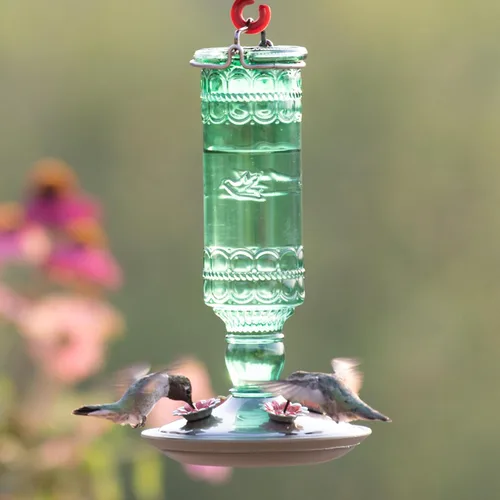 Vista 7 de Perky-Pet 8108-1SR - Comedero de vidrio para colibríes para exteriores, estilo botella antigua, comederos para colibríes de 10 onzas para decoración