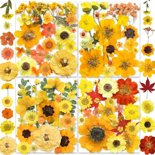Vista 12 de 150 piezas de flores azules secas prensadas con pegatinas de mariposas - Juego de flores naturales reales de YouthBro para manualidades de resina