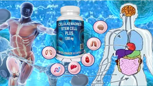 Vista 6 de VITAMISAN Celulas Madres 4 Botellas Algas Azul Verde AFA
