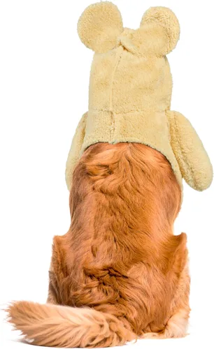 Vista 6 de Rubies - Disfraz de oso de peluche que camina, para perros y gatos, XL Marrón