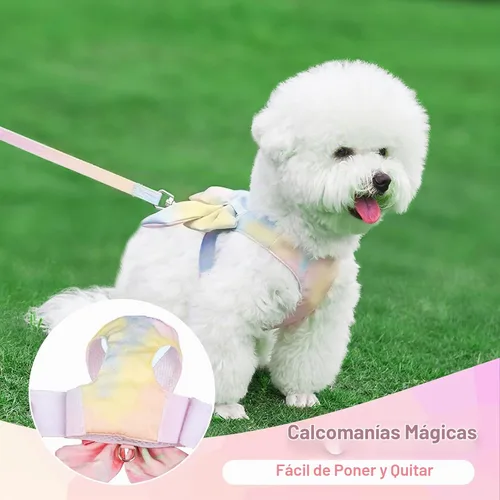 Vista 3 de PETCARE Lindo Arnés de Perro con Corbata de Moño y Juego de Correa Elegante Arnés de Cachorro con Gradiente Arcoíris Sin Tirones Arnés de Malla