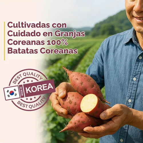 Vista 4 de Gangwon - Bocadillos masticables coreanos de batata, veganos, sin azúcar