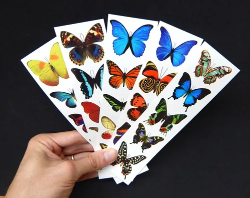 Vista 2 de Tatuajes de mariposa temporales coloridos - 5 hojas - por Butterfly Utopia