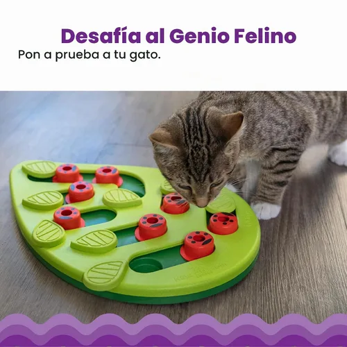 Vista 2 de Petstages rompecabezas interactivos para gatos, alimentador lento y juguetes dispensadores de bocadillos Level 2 Intermediate, 16 Hidden Treat