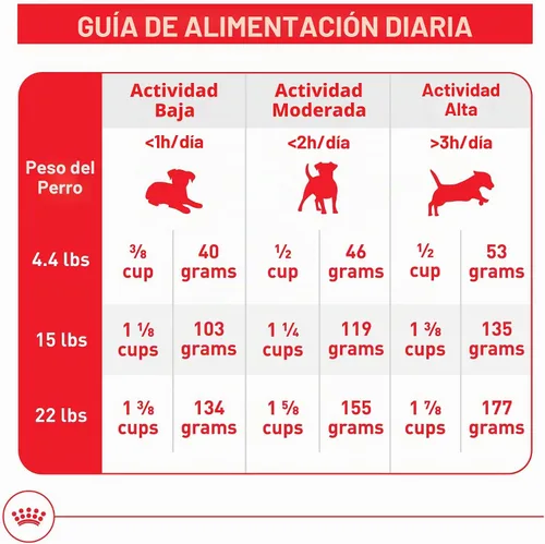 Vista 9 de Royal Canin Size Health Nutrition - Alimento seco para perros adultos