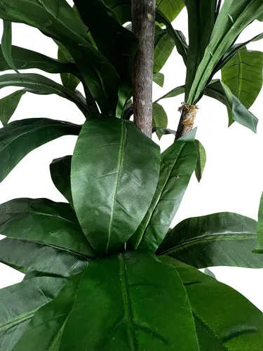 Vista 8 de Cypress & Alabaster Árbol artificial de cuna tropical de 6.5 pies hecho a mano con troncos de madera real de origen ético, hipoalergénico, 6.5 pies