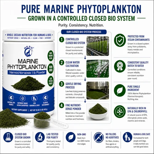 Vista 6 de Polvo de fitoplancton marino de 1 libra - Superalimento oceánico denso en nutrientes para humanos y perros - Fuente natural de EPA - Microalgas