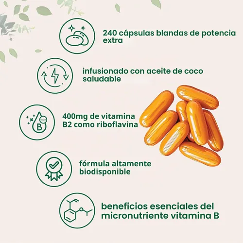 Vista 3 de Vitamina B2, riboflavina 400 mg 240 cápsulas blandas con aceite de coco Altamente biodisponible Suplementos energéticos de vitamina B extra