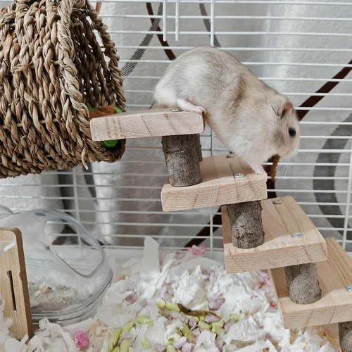 Vista 5 de Hamiledyi Juguetes de escalada para hámster, hamaca colgante de madera, juego de escaleras, accesorios de jaula para ratones de jerbo de hámster