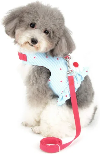 Vista 11 de SMALLLEE_LUCKY_STORE Vestido de arnés con lazo para perros pequeños, negro, XS Water-Resistant, Adjustable Fit, Padded, Escape-proof, Outdoor