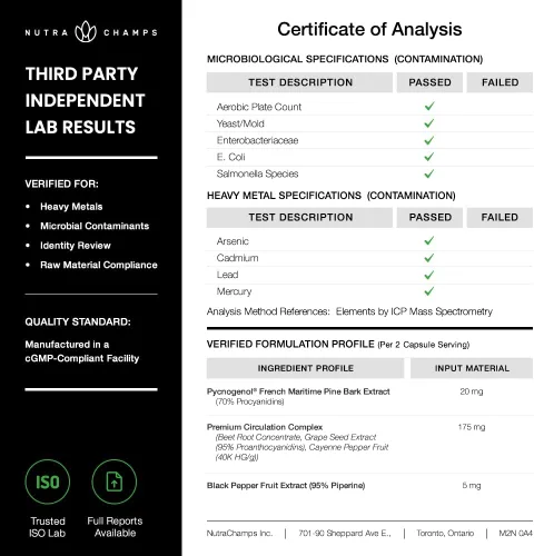 Vista 7 de NutraChamps Pycnogenol Extracto de corteza de pino marítimo francés, complejo de circulación premium, flujo sanguíneo, producción de óxido nítrico