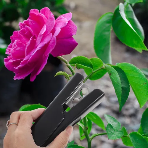 Vista 6 de CHILDWEET 2 alicates de perforación de flores, podadora de árboles, herramientas manuales, removedor de espinas y hojas, removedor de tallos