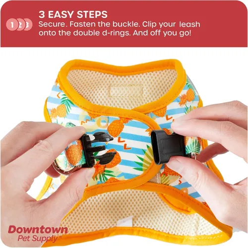 Vista 20 de Downtown Pet Supply Arnés para perro Step-in – Sin tirones, malla acolchada ajustable con ribete reflectante, correa de hebilla segura – Arnés