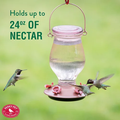 Vista 8 de Perky-Pet 9104-2 Alimentador de colibrí de cristal con relleno superior de oro rosa de 24 onzas de capacidad