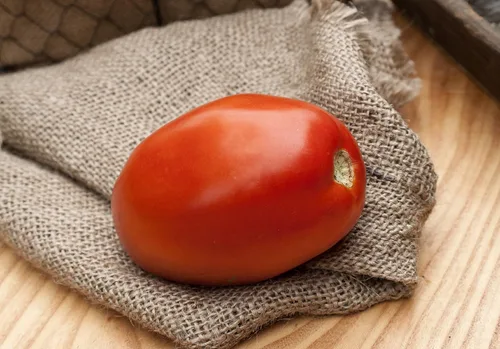 Vista 2 de Romeo Roma - Paquete de semillas prémium de tomate tradicional italiano y más