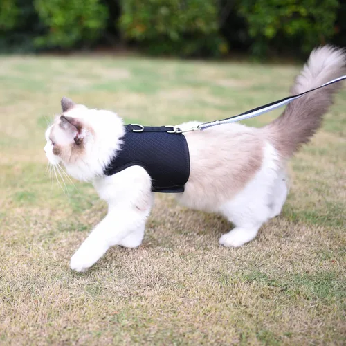 Vista 2 de Arnés y correa para gatitos para caminar, a prueba de escape, tela de malla transpirable, negro sólido, extra pequeño, chaquetas ajustables