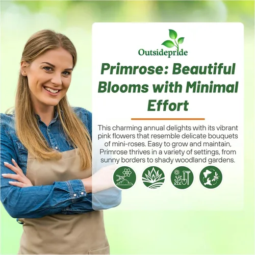 Vista 5 de Outsidepride 10 semillas anuales Primula común Primrose Primlet Pink Shades Semillas de flores para plantar