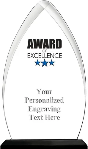 Vista 10 de Crown Awards Premio acrílico personalizado de 9.25 pulgadas de Gateway Skyline