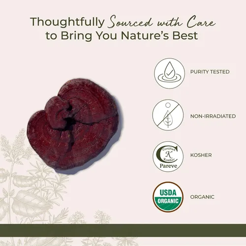 Vista 4 de Starwest Botanicals Setas Reishi rojas enteras orgánicas - Setas Reishi secas para té de hierbas y cocina, Ganoderma Lucidum, certificado Kosher