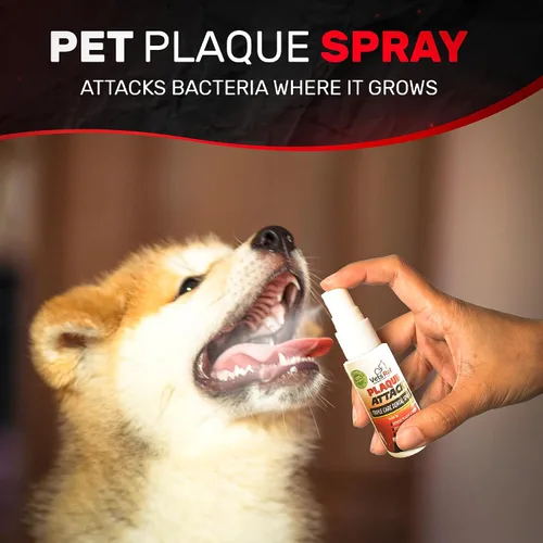 Vista 3 de Spray dental para mascotas, como se ve en la televisión, elimina la placa y el sarro, ayuda con la placa y el sarro y proporciona un aliento fresco