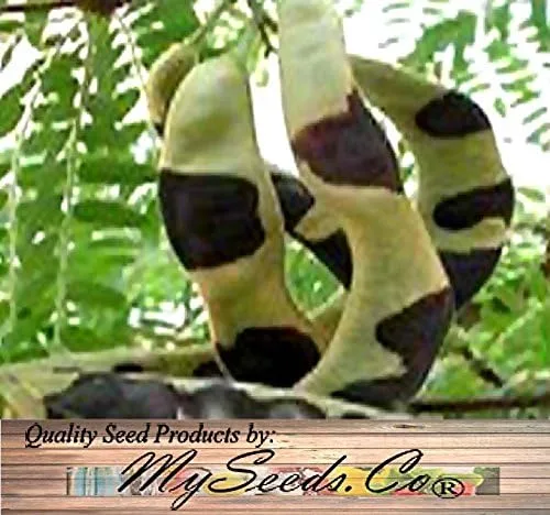 Vista 8 de Big Pack by MySeeds.Co