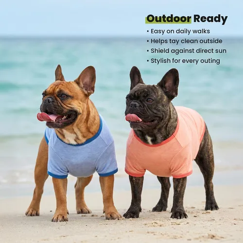 Vista 7 de Fitwarm Paquete de 3 camisas para perro de color liso, ropa clásica de verano para perros pequeños, niños y niñas, traje ligero para mascotas, azul