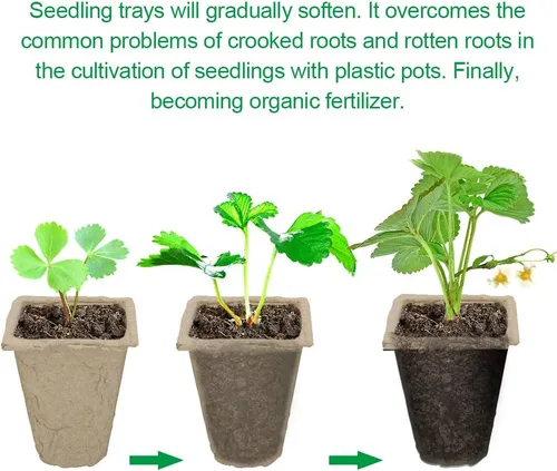 Vista 4 de Paquete de 10 bandejas de iniciación de semillas, 120 celdas de germinación orgánica, bandejas de semillas de germinación orgánica, kit de cultivo