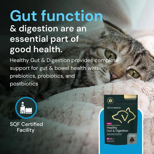 Vista 7 de VetriScience Veterinary Strength intestinal saludable y digestión, 60