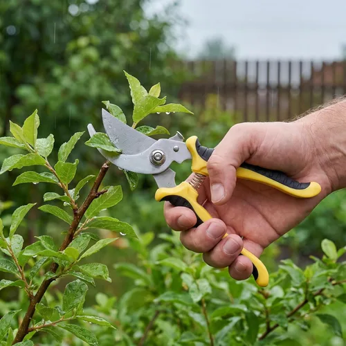 Vista 5 de Lothee 9 tijeras de jardín, podadoras de jardín, podadoras de derivación a granel, resistentes para jardinería, setos de plantas, tijeras de flores