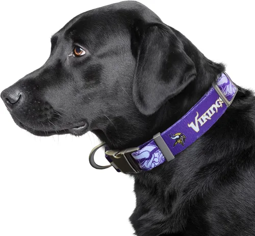 Vista 2 de Littlearth NFL Detroit Lions Pet Premium Collar, Team Color, Small 14-Color del