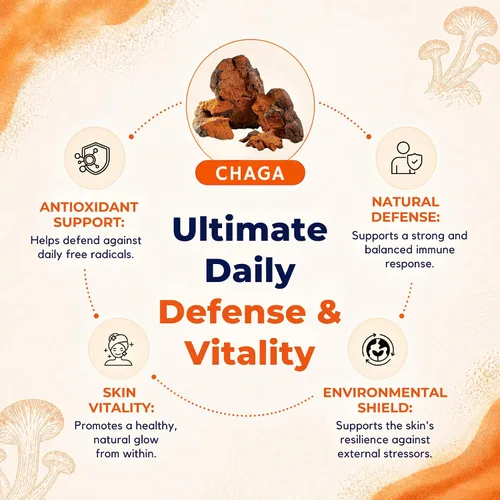 Vista 3 de Polvo de extracto de Chaga de Malama, polvo de hongos Chaga orgánico fructífero, superalimento adaptogénico, apoya el sistema inmunológico, la salud