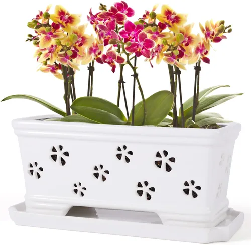 Vista 9 de Maceta rectangular de cerámica para orquídeas de 10 pulgadas con agujeros y platillo, color blanco, drenaje efectivo y ventilación para orquídeas