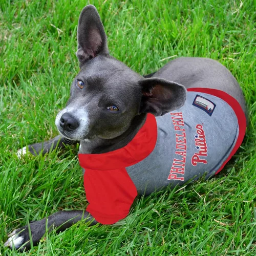 Vista 2 de Sudadera con capucha MLB para perros y gatos - Camiseta con capucha para perros Philadelphia Phillies, extra pequeña. - Sudadera con capucha