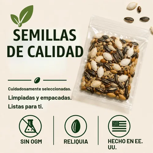 Vista 8 de 5 semillas de árbol bonsái de glicina rosa para plantar, Wisteria Floribunda, semillas de bonsái para plantar, semillas de árbol en flor, enredadera