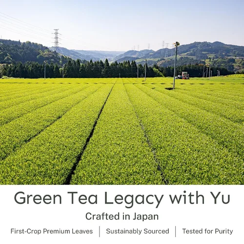 Vista 5 de Yu Tea Organic Sencha Green Tea Powder, 100 porciones, rico en antioxidantes, EGCG y L-teanina, hoja japonesa pura de la primera cosecha, baja