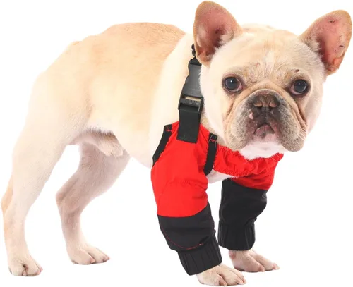 Vista 10 de PetWarm Fundas para patas de perro, impermeable, protector de codo y rodilla de recuperación, par antilamidas para perros pequeños, protección Azul